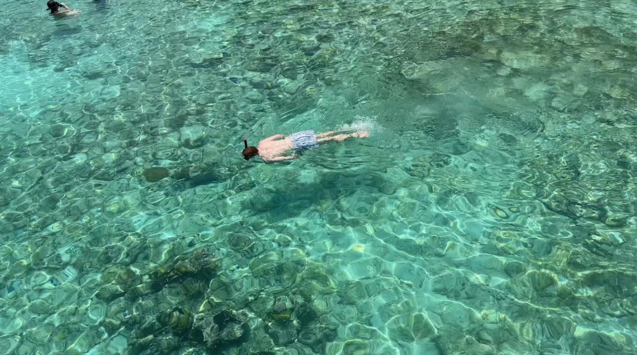 Image 11