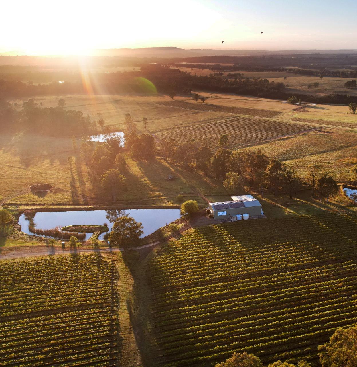 Latitude 32 Wines: Sweet & Sparkling Dessert and Wine Pairing in the Hunter Valley - Photo 2