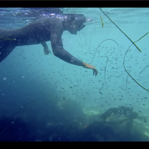 Snorkeling Gear Rental Package (full day rental)