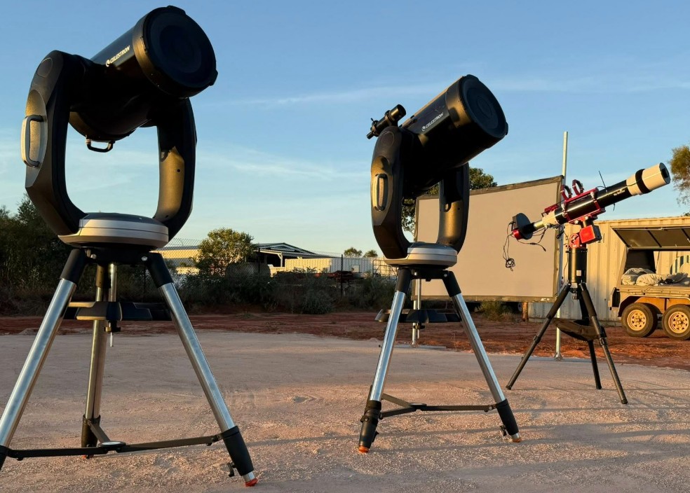 Kids Special Night Tour