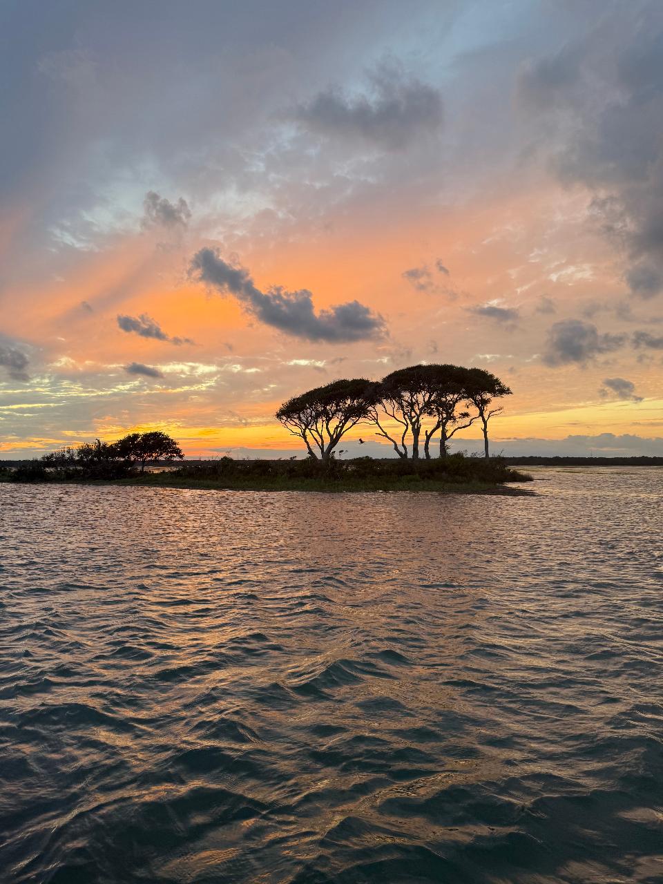 2 HOUR SUNSET CRUISE 2026