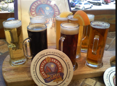 Verde Valley Brewery Tour