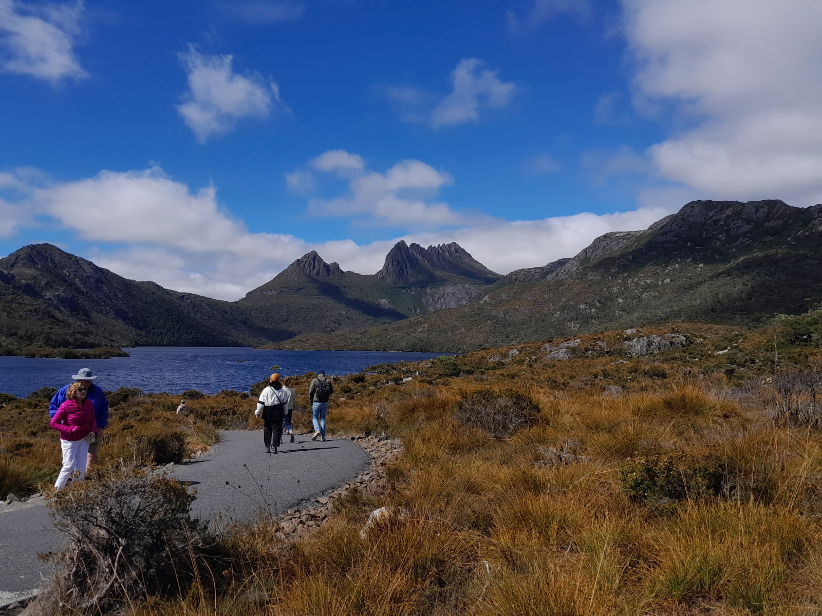 Shore Excursion - Burnie to Cradle Mountian
