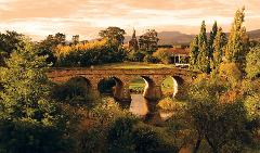 Signature Wine Tour (Saturdays)