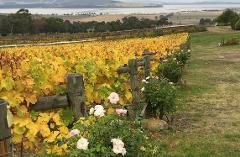 Richmond and Wine Tour (Friday & Monday)