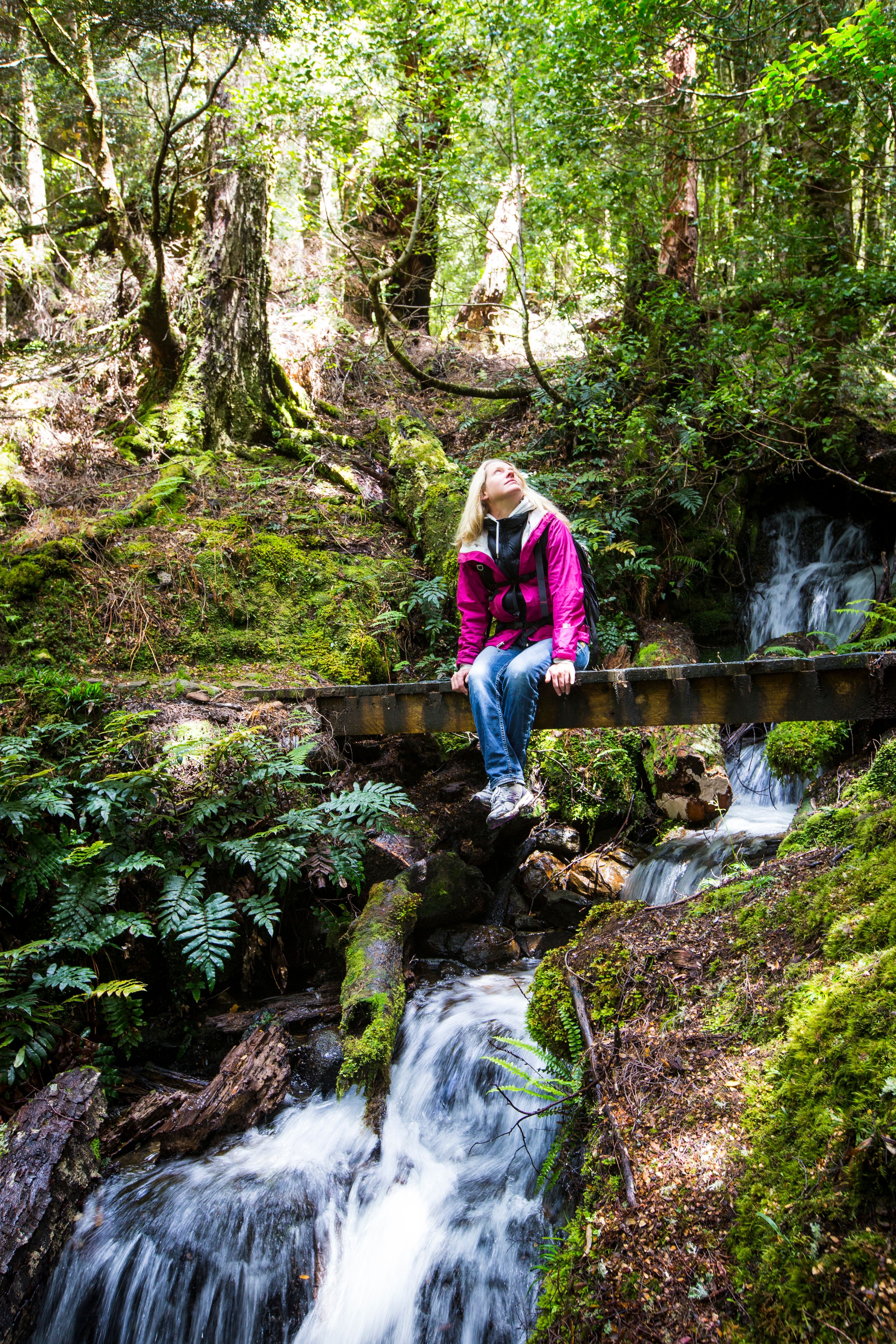Shore Excursion - Burnie to Cradle Mountain