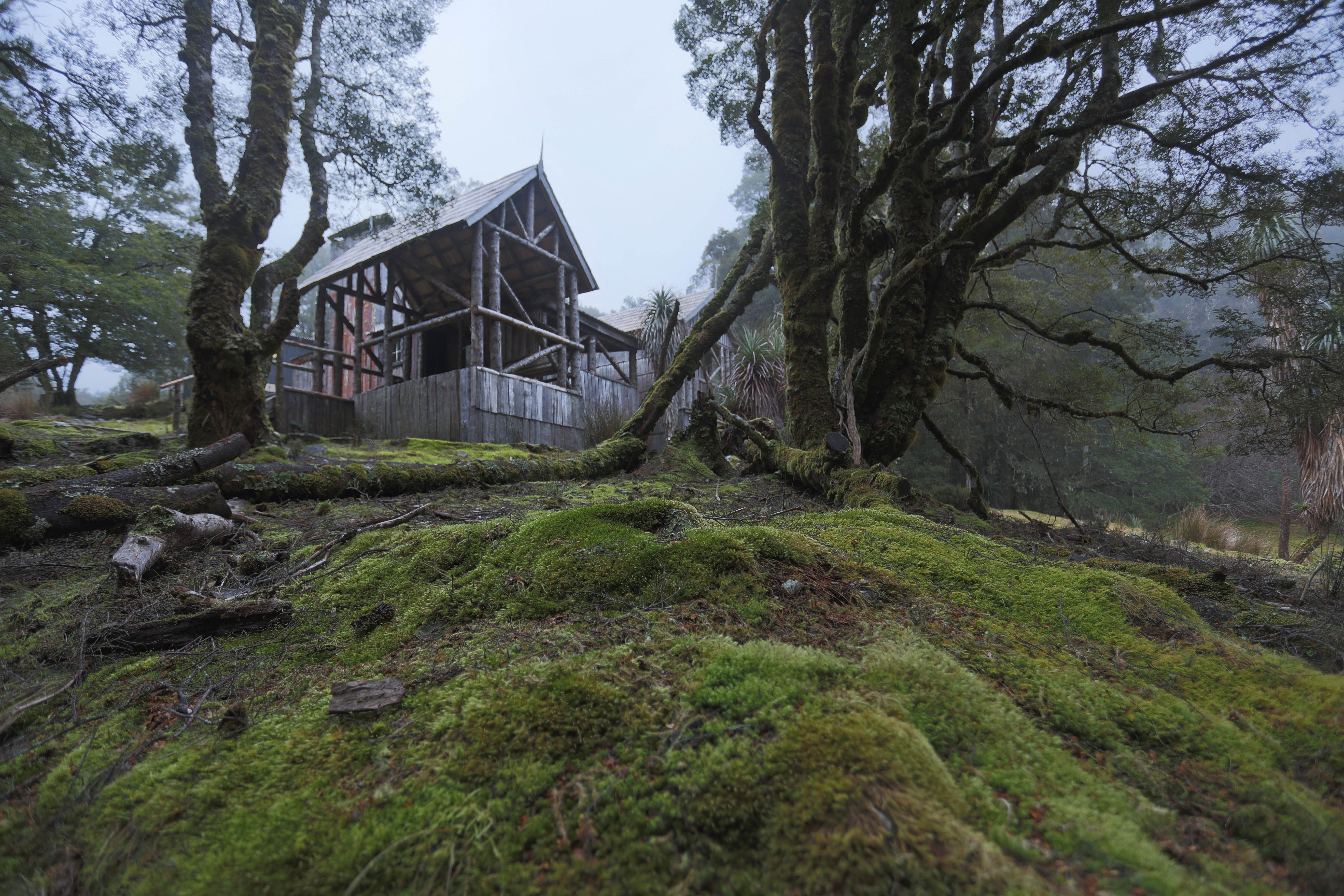 Shore Excursion - Burnie to Cradle Mountain