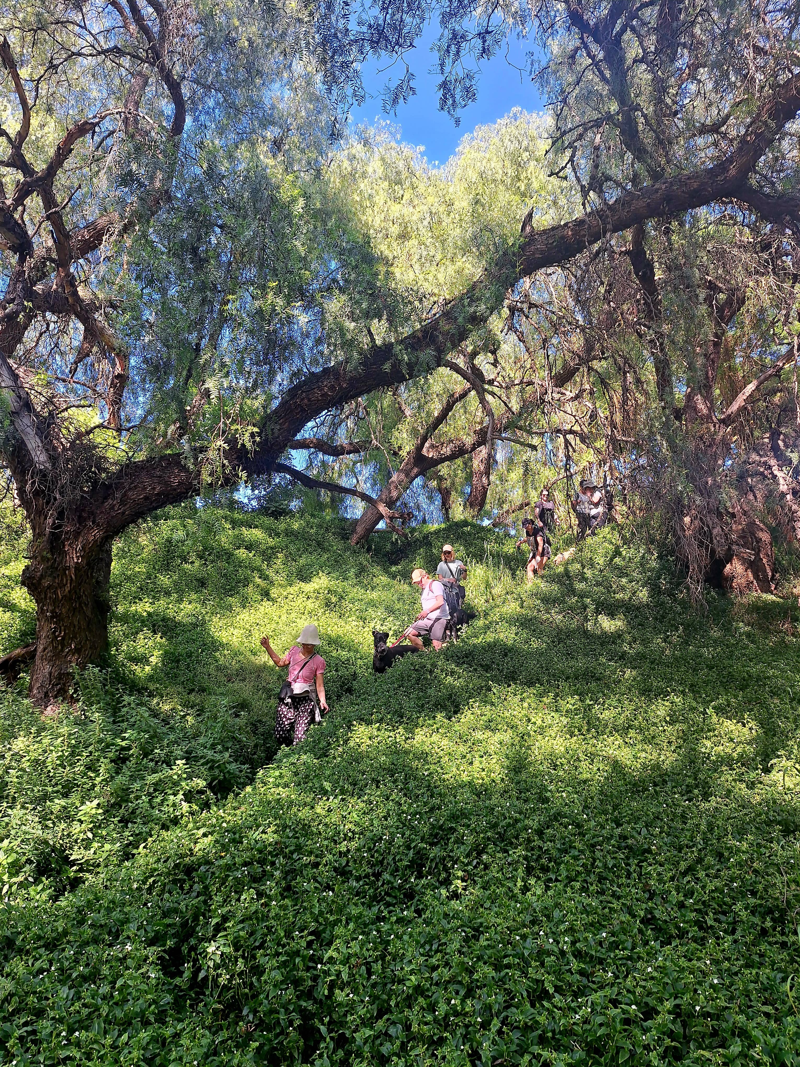 Melbourne Tour: Walk the Yarra to the Historic Fairfield Boathouse