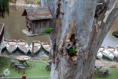 Melbourne Tour:  Walk the Yarra & Historic Boathouse Experience