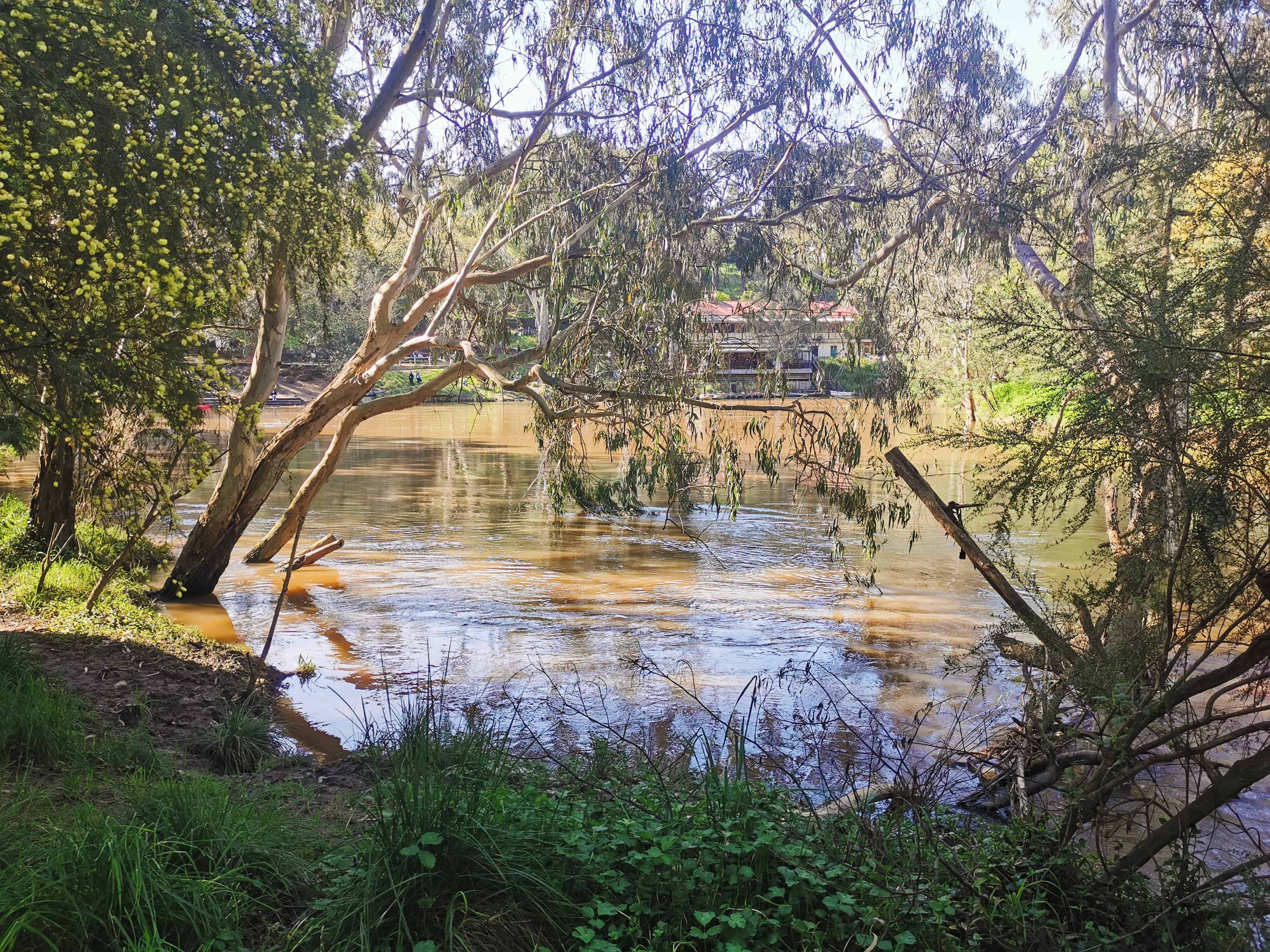 Melbourne Tour: Walk the Yarra to the Historic Fairfield Boathouse