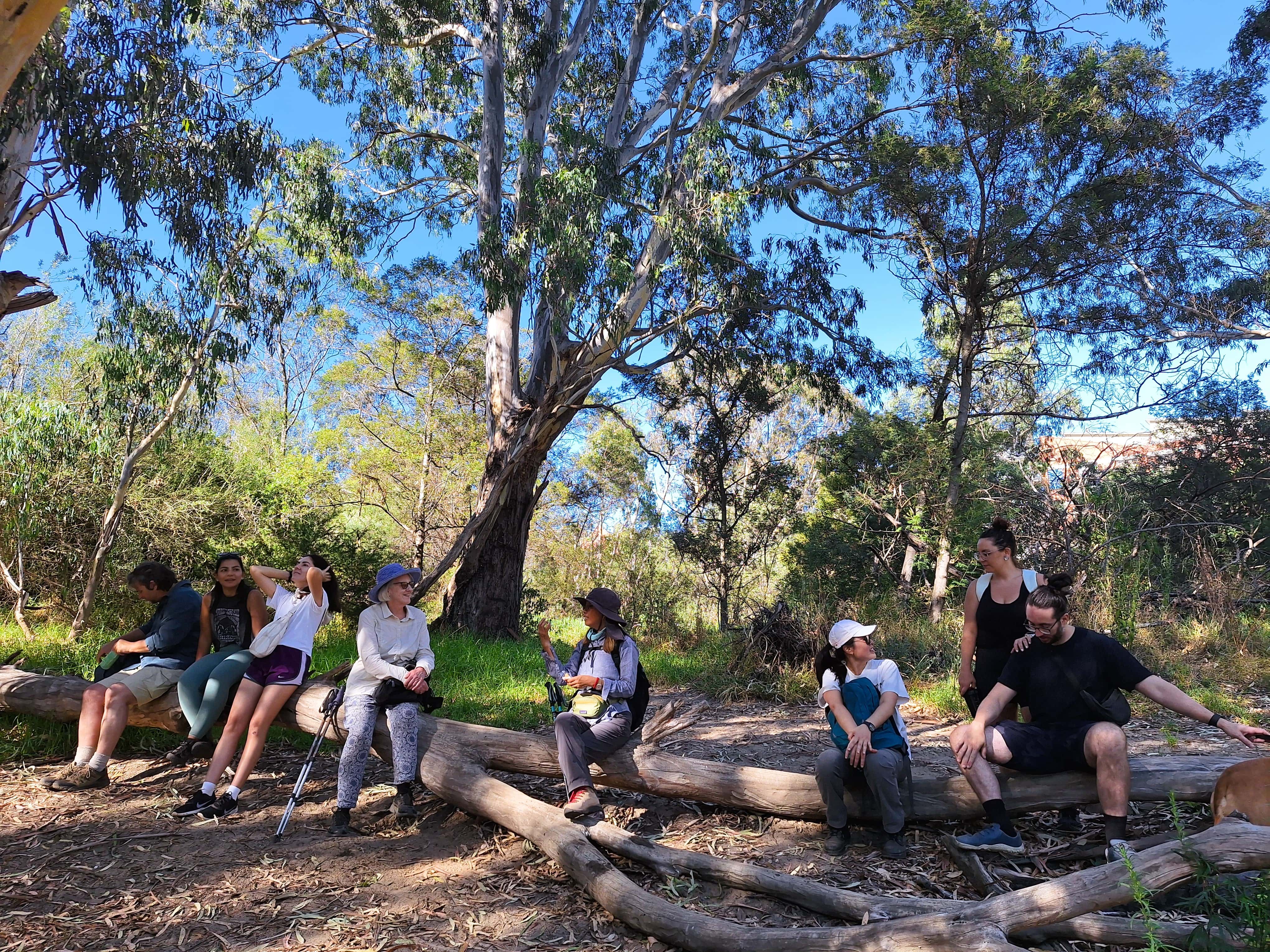Melbourne Tour: Walk the Yarra to the Historic Fairfield Boathouse