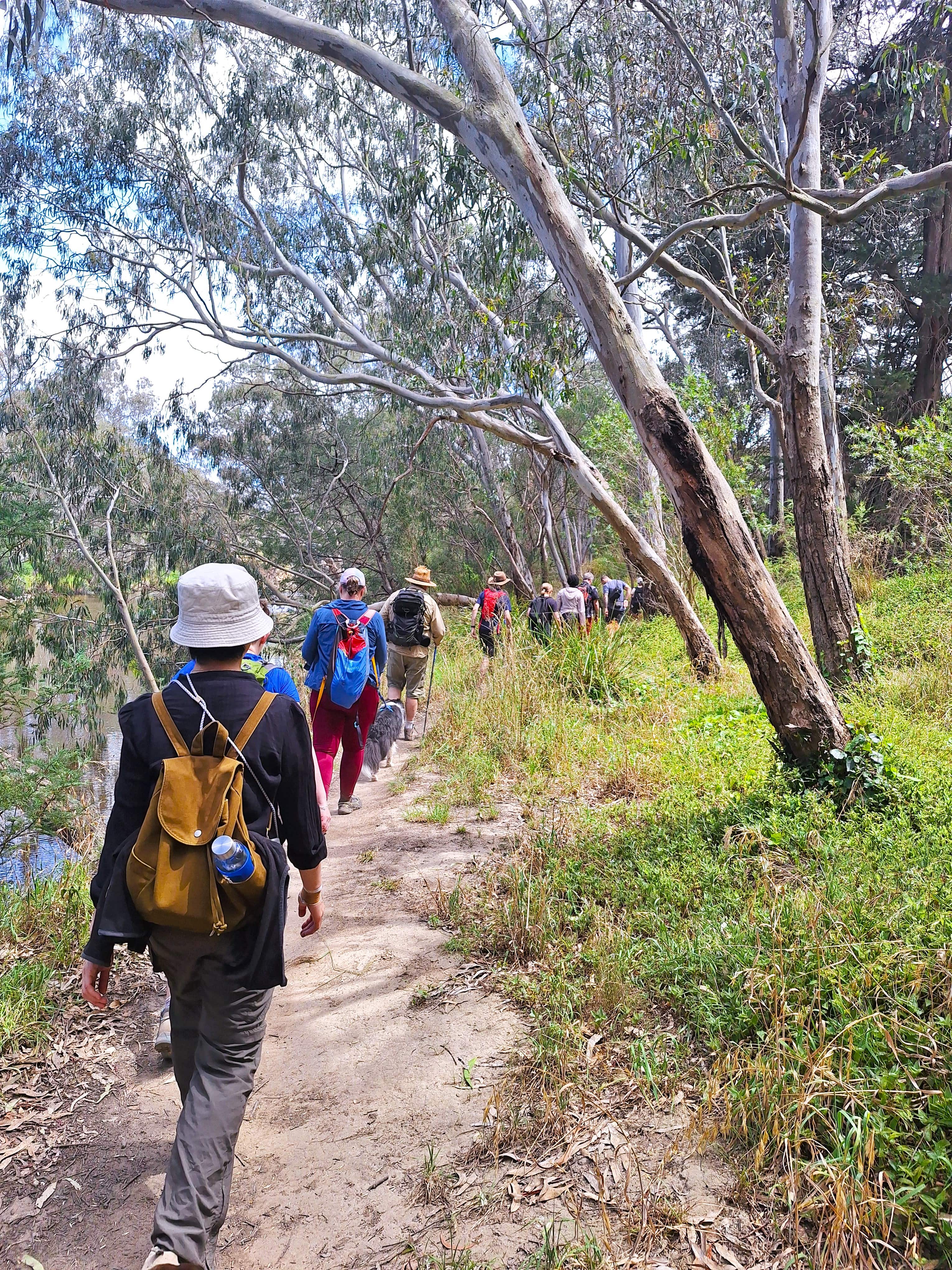 Melbourne Tour: Walk the Yarra to the Historic Fairfield Boathouse