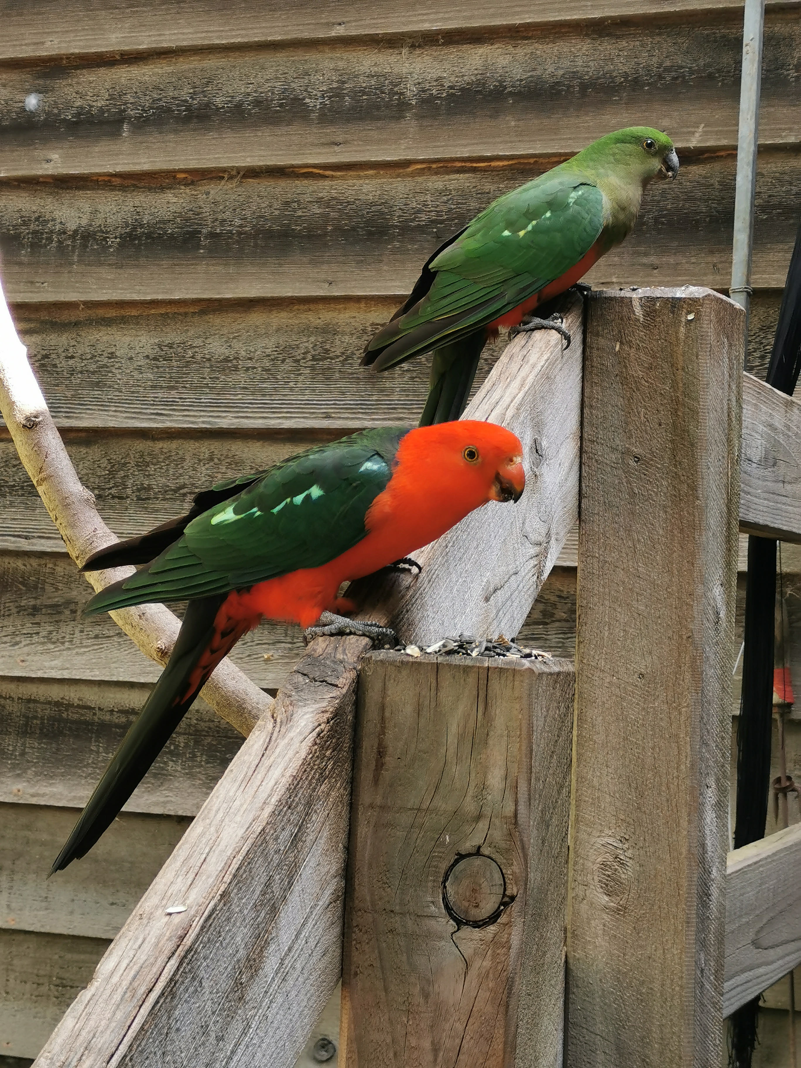 Melbourne Tour: Walk the Yarra to the Historic Fairfield Boathouse
