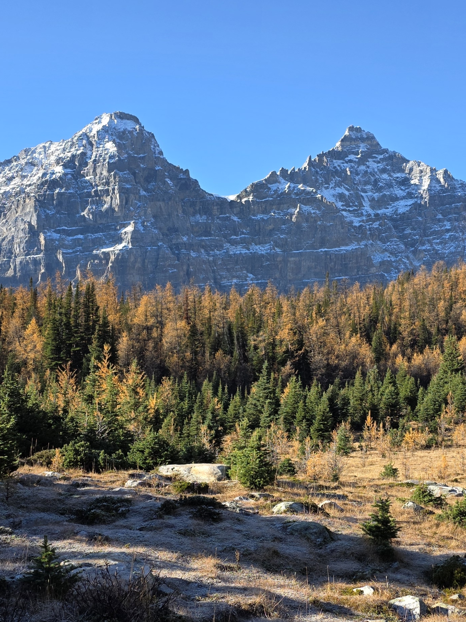 Larch Valley - Guided Day Hike with Moraine Lake & Lake Louise Visit