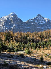 Larch Valley - Guided Day Hike with Moraine Lake & Lake Louise Visit