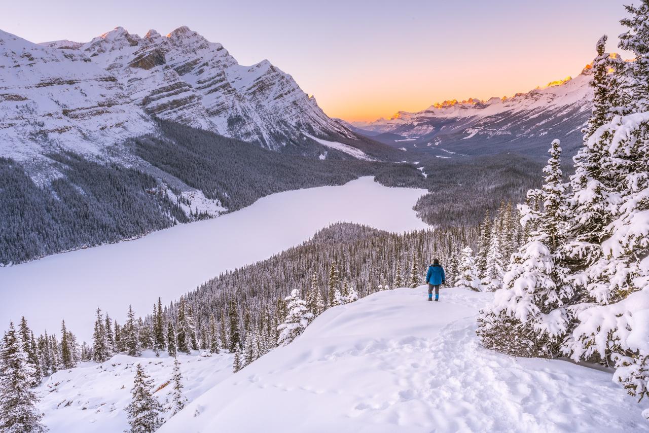 Private Winter Guided Day Hiking & Snowshoeing 