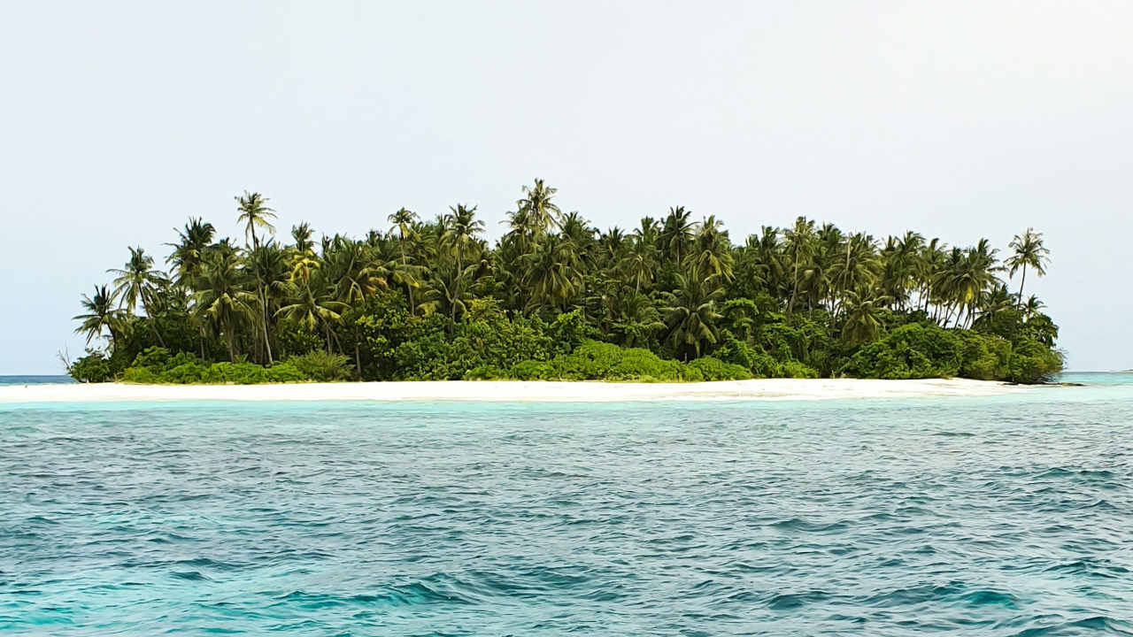 Island Hopper
