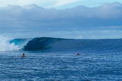 Surf Safari