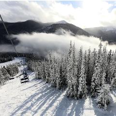 Snowshoe Through Vancouver's Winter Wonderland