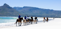 Noordhoek Beach Rides