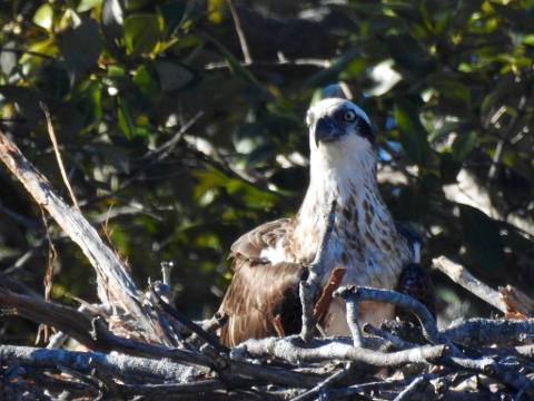 0AC92425_54A3_4841_841E_AF812F890D33_1_105_c