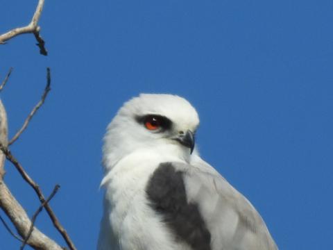 0CCD9B9E_0B23_470D_8CF3_EE523AFAE48E_1_105_c