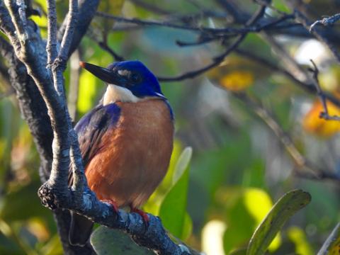 0F88A437_60B1_4DD5_8171_49C0EC626014_1_105_c