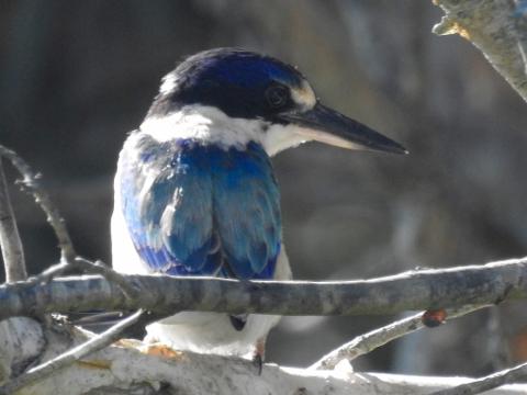 1B587AE0_DD76_4E29_80FB_9D61CCB65119_1_105_c