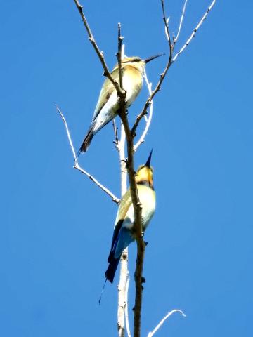 1D39A489_79F3_4051_B791_D856F334DB96_1_105_c