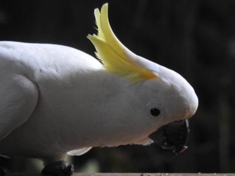 2701223E_D0FC_497C_B089_5F0645606D2A_1_105_c