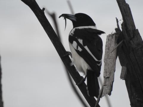 2A31AB73_5353_4BEC_B6C7_6BE8CF41DD2B_1_105_c