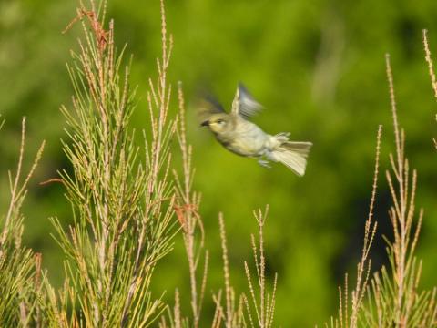 3D85301C_2599_4762_88A5_3EE13D1BB76C_1_105_c