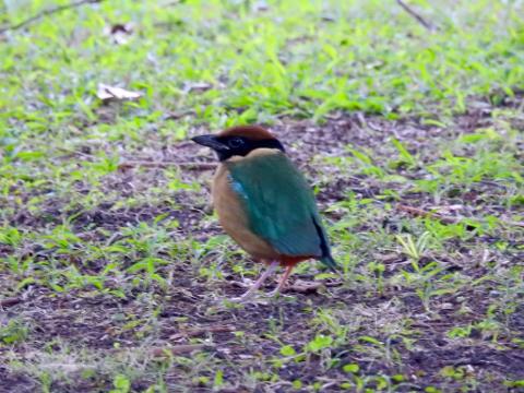 3E03EF8E_9CAE_45DA_B898_0CFC7B4064E0_1_105_c