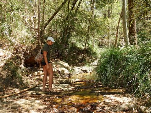 44b0df6665944d56b9cfe09d29d50dabDSCN5195