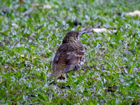 4937A37D_256D_45E6_AC04_5F2DA6BA709A_1_105_c