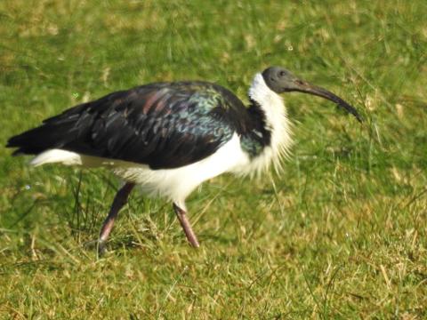 53605D7C_E856_458F_BD82_5725C14F007A_1_105_c