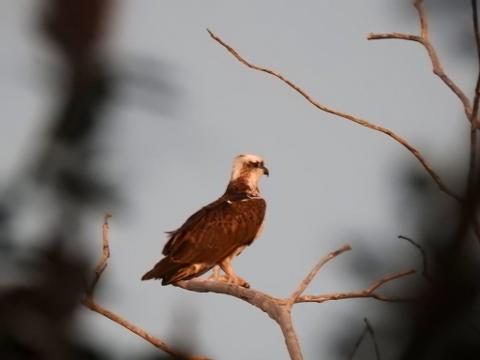 54C0145B_F726_4C12_AE5A_FE4C97282A9B_1_105_c