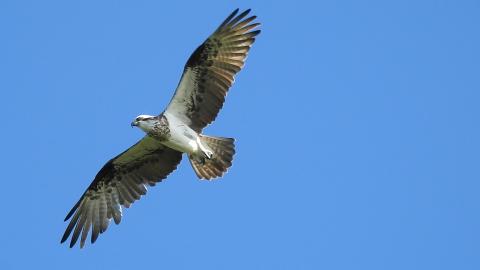 628c3b27813543f189f6b01b490c7c37DSCN3174__1_