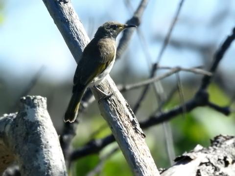 62ADA1DF_7574_47E6_AC45_44EF5BA94854_1_105_c