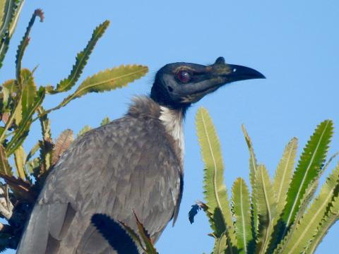 7579A13A_35D2_42C8_8375_A0F894B92544_1_105_c