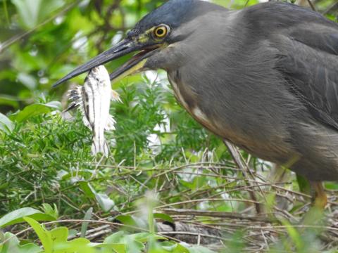 8FFAD8AF_1CB6_4358_9372_774CE05D6534_1_105_c