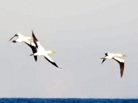 CCE33613_67DE_46BC_A403_F759CF88209E_1_105_c