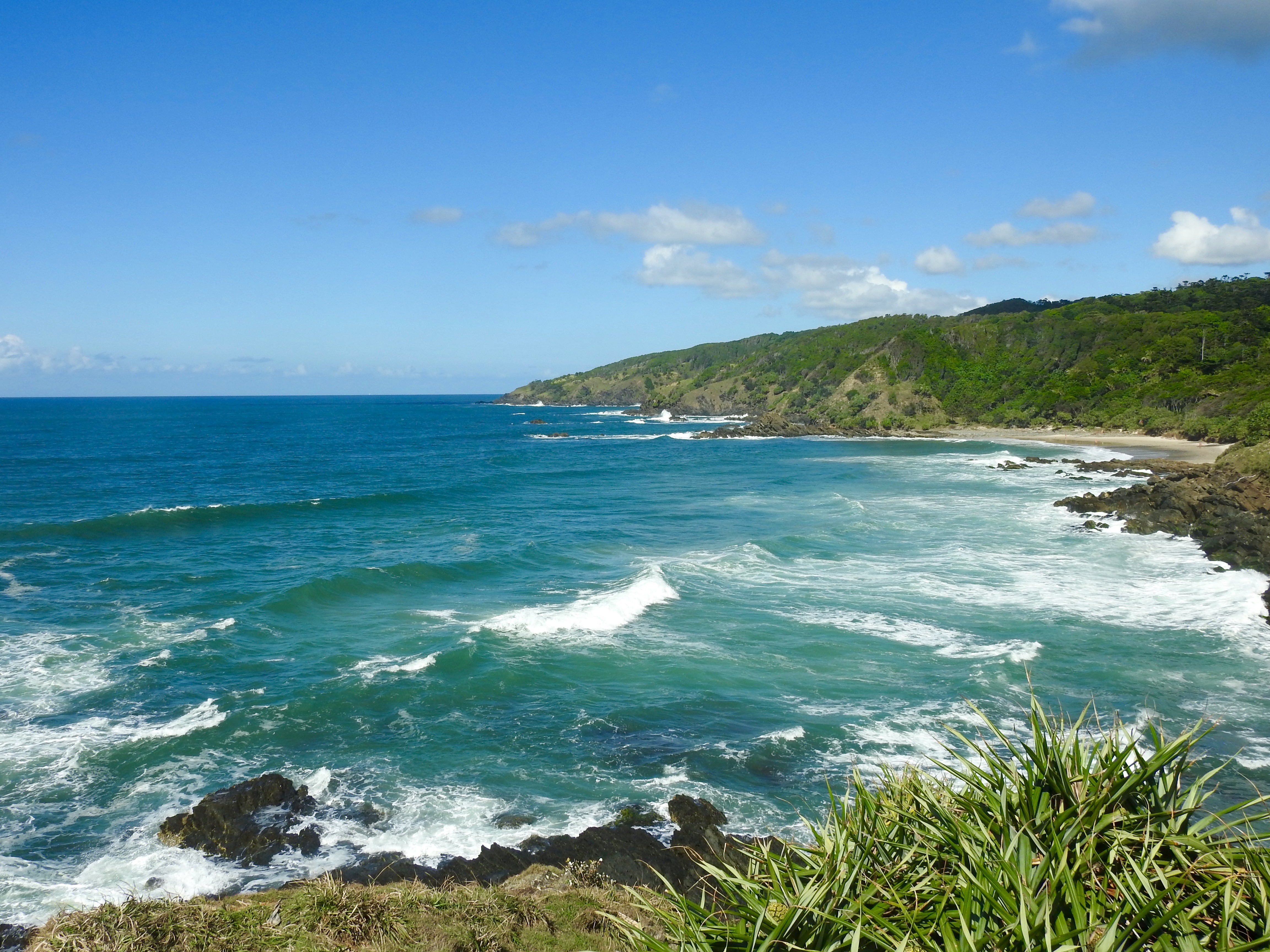 Broken Head Nature Tour