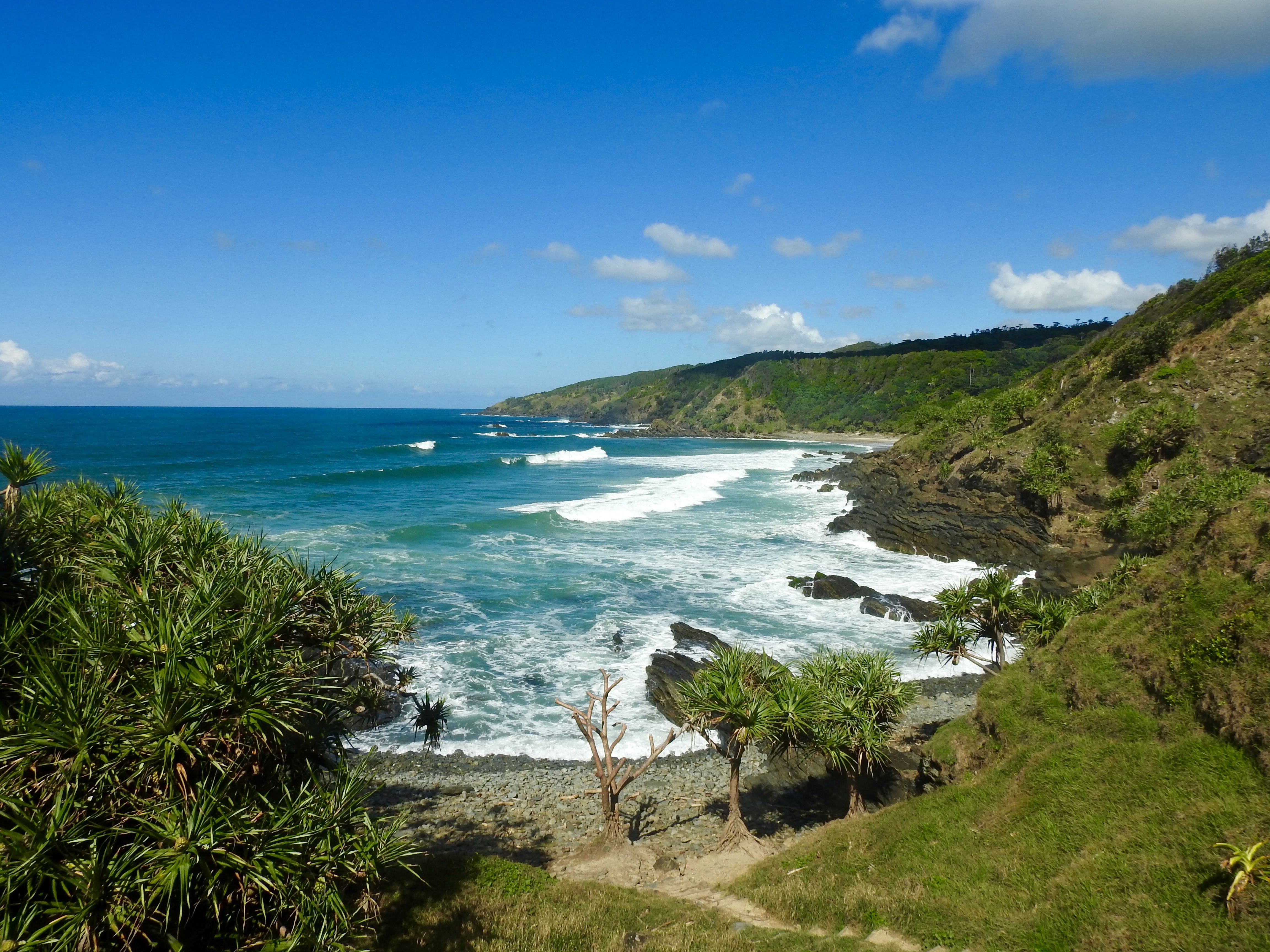 Broken Head Nature Tour