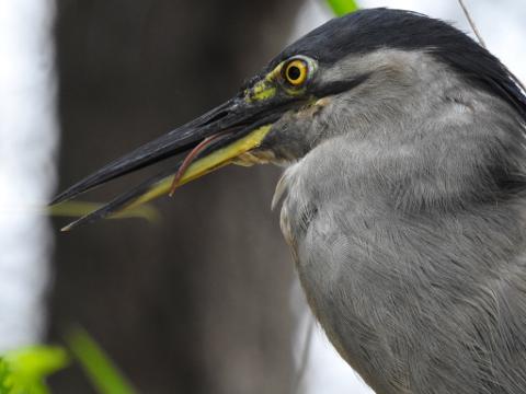 E96F3FE5_896F_4D1C_9F20_4B8E97DB742E_1_105_c