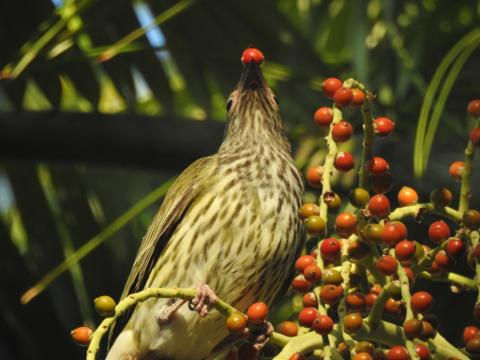 F178EB85_A5B9_4F47_94EF_B537761654B6_1_105_c