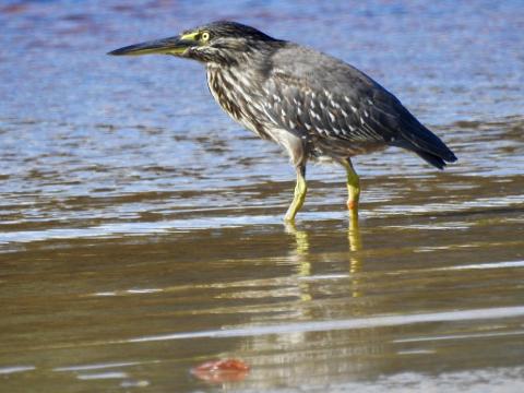 F511948B_297C_4E29_9DE1_10301FD5B484_1_105_c