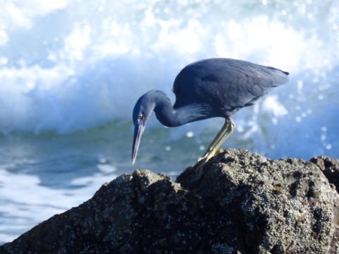 FC1B3550_443E_4FCC_9FC0_93CEE07D4FA9_1_105_c