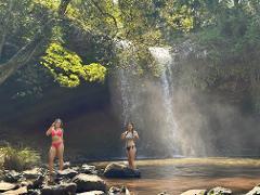Byron Bay: Waterfall Adventurer - Half Day 