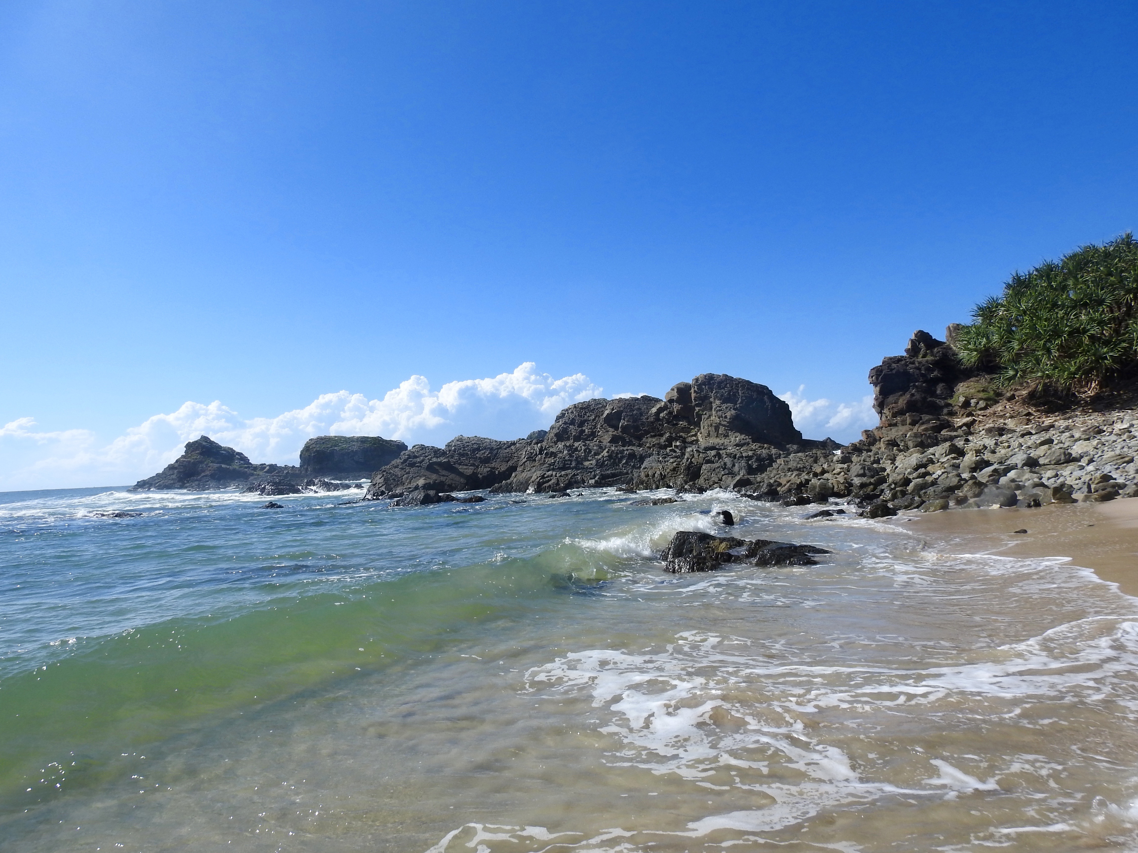 PRIVATE CUSTOM  GUIDED ECO-TOUR